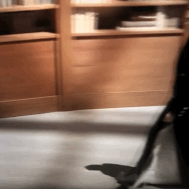 Chanel Fall Winter 2019/20 Haute Couture&nbsp;Review